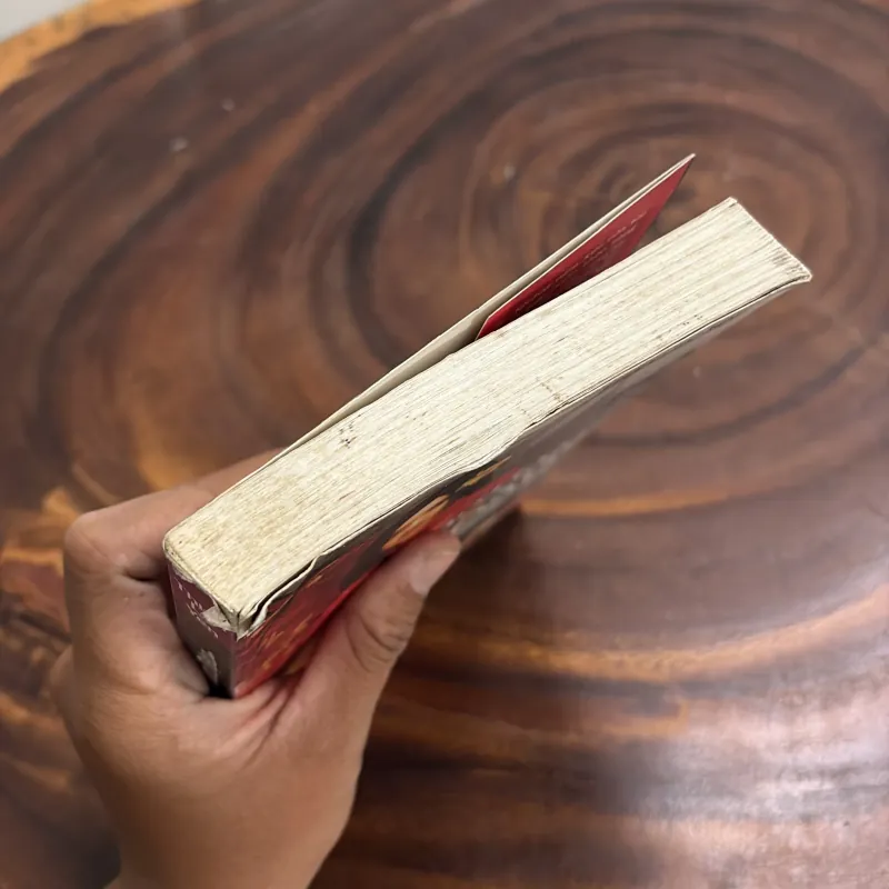 II Tiểu Thuyết: Tuổi Trẻ Của Đậu Đậu - Thiên Lý Yên - 2009 977255