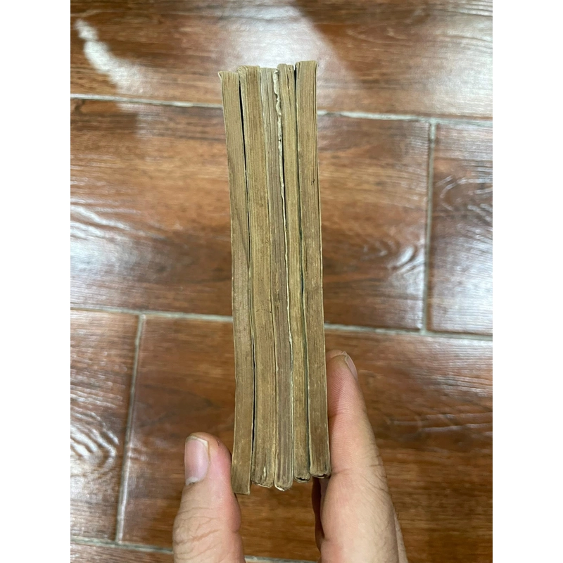 Nội san danh từ chuyên môn 5 cuốn 478061