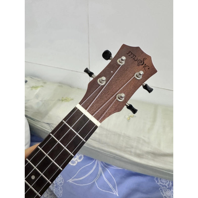 Đàn Ukulele Gỗ chính hãng size concert basic 494139