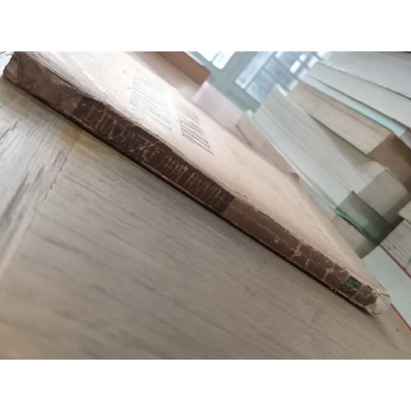 Thành ngữ Tiếng Việt - Nguyễn Lực, Lương Văn Đang 276416