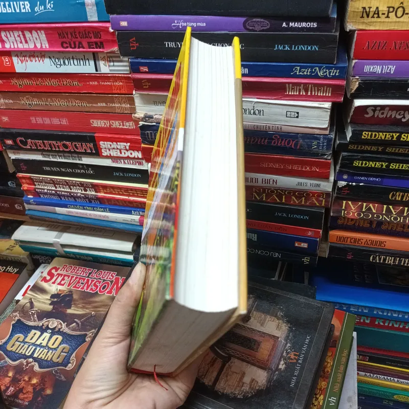 Những Cuộc Phiêu Lưu Của Tom Sawyer Và Huckle Berry Finn 702801