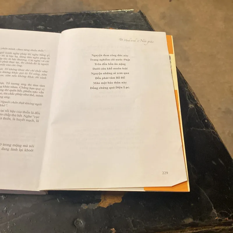 Hành trình về Nẻo Giác- Thích Đạt Ma Khế Định 689217