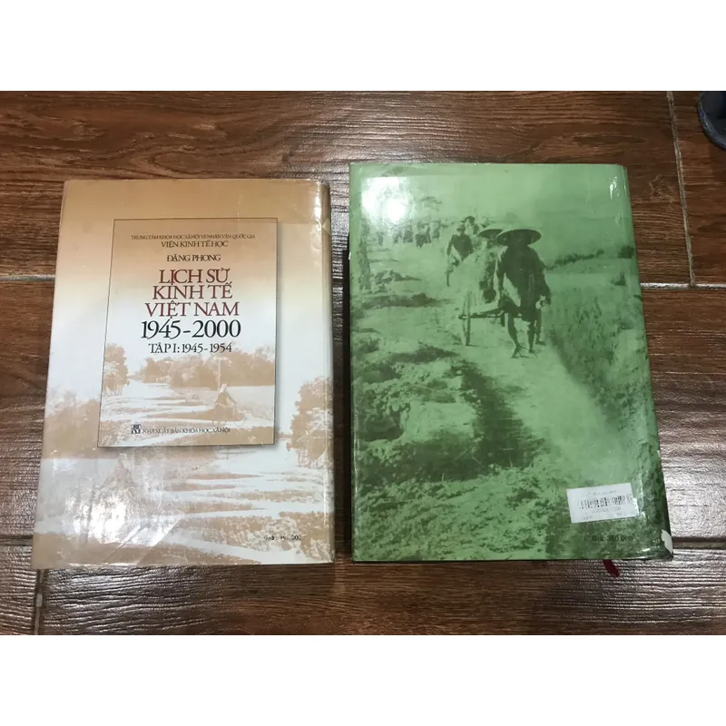 Lịch sử kinh tế Việt Nam 1945-2000 có 2 tập - Đặng Phong 709005