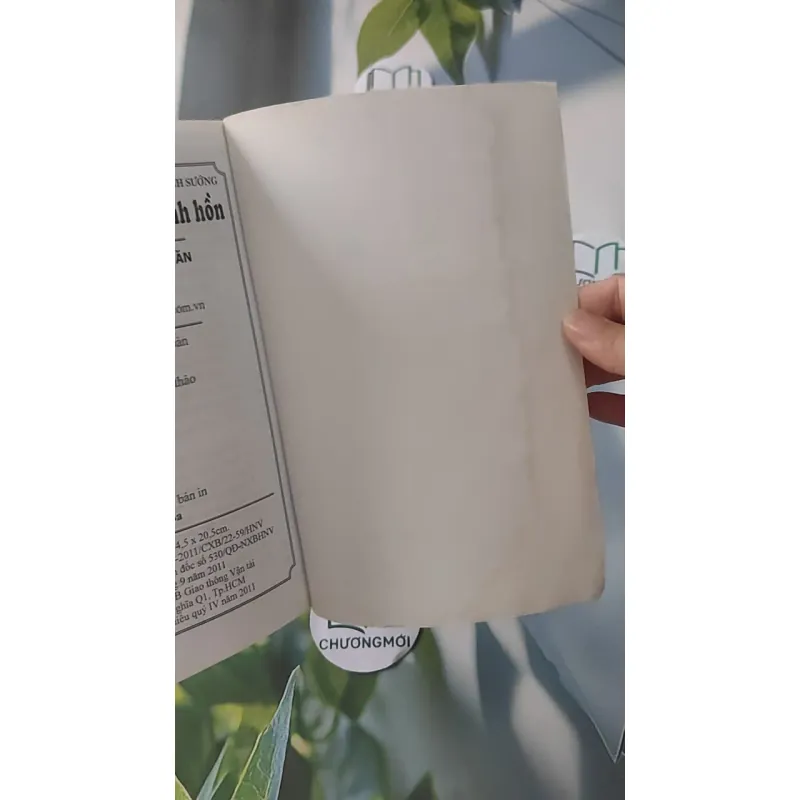 Tiếng Vọng Từ Những Linh Hồn - Hoàng Anh Sướng 928519