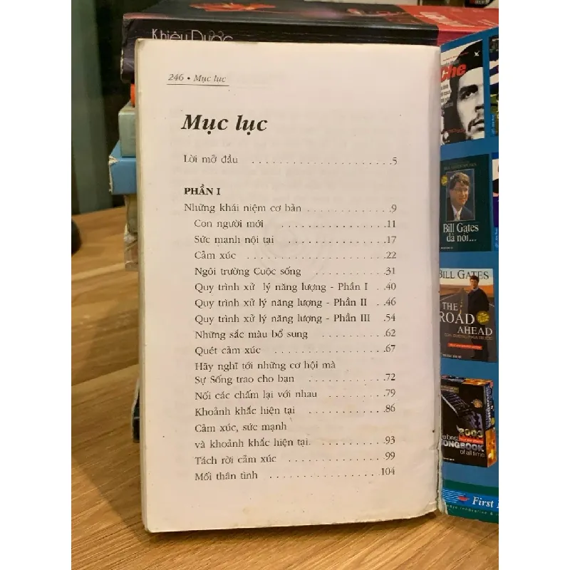 Trái tim của tâm hồn – Gary Zukav & Linda Francis 570859