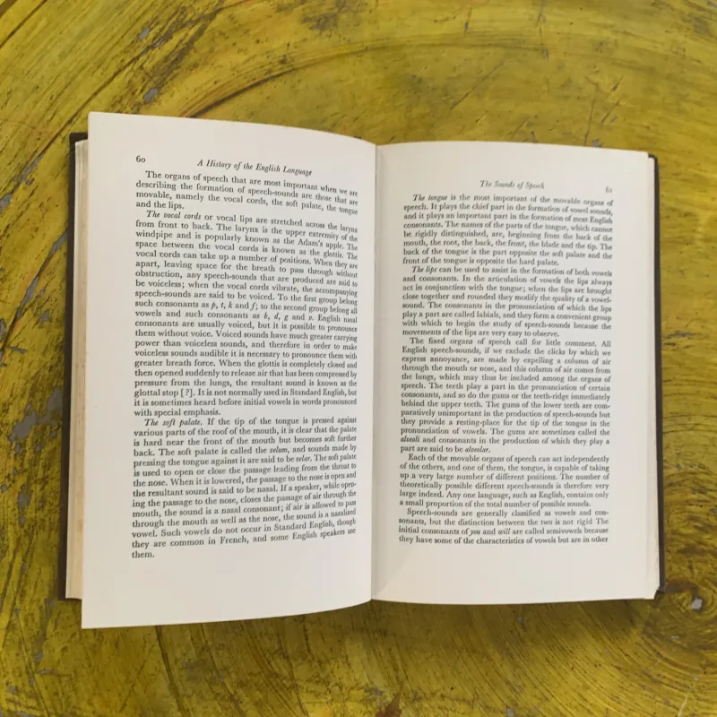 LỊCH SỬ NGÔN NGỮ ANH - A HISTORY OF THE ENGLISH LANGUAGE- G.L. BROOK 1031296