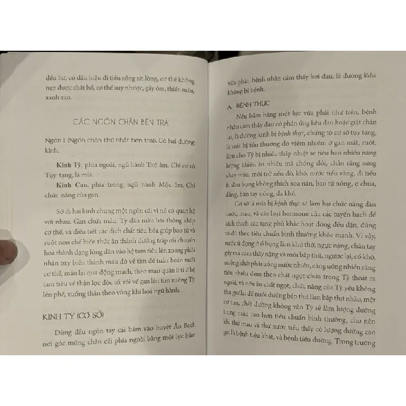 Quy kinh chẩn pháp - Đỗ Đức Ngọc 629598