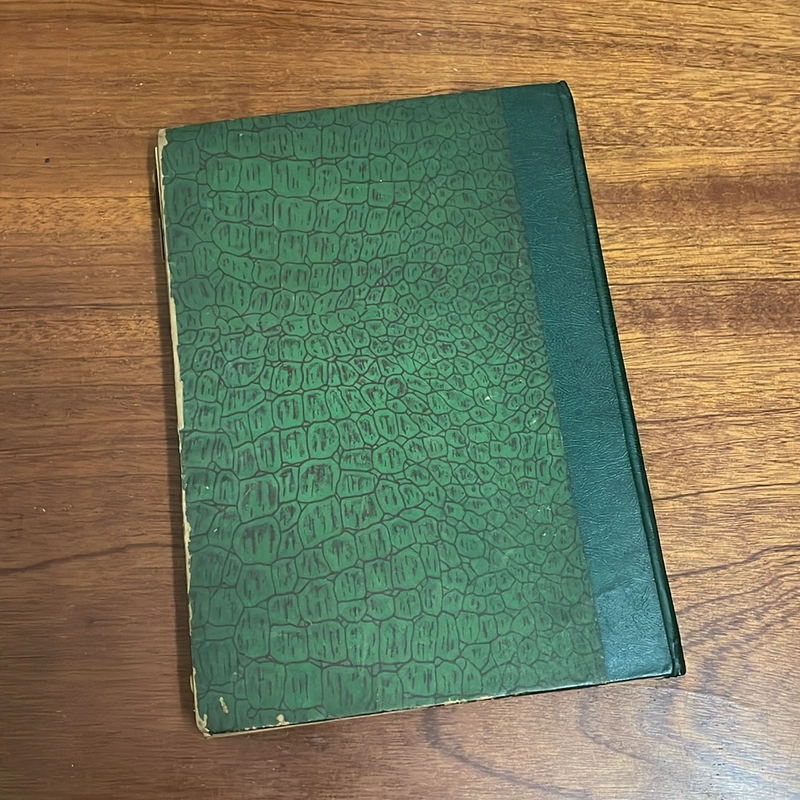 II Tựa sách: Con Đường Chuyển Hoá - Thích Nhất Hạnh (Sách đã được đóng bìa cứng) 502106