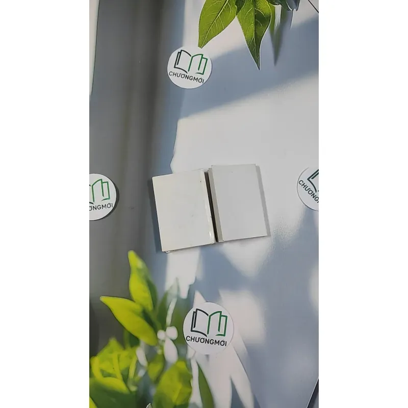 Combo Thơ Hàn Mặc Tử, Bùi Chí Vinh 798494