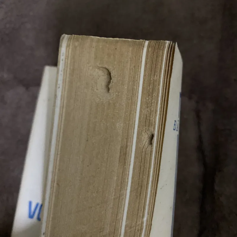 Bác Hồ với nghệ thuật sân khấu 628627