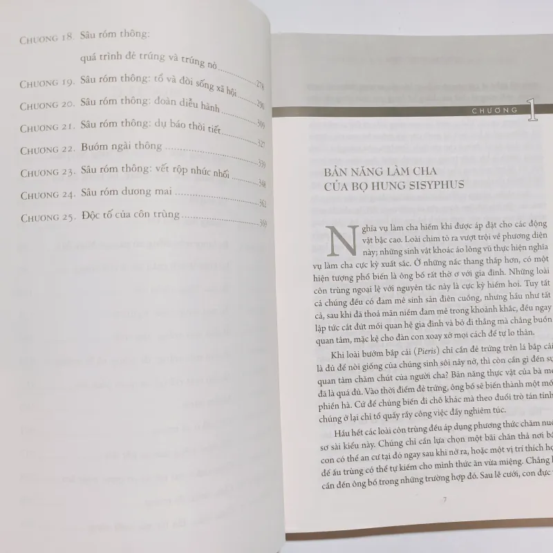 Côn Trùng Ký Tập 6 - Jean-Henri Fabre 932334