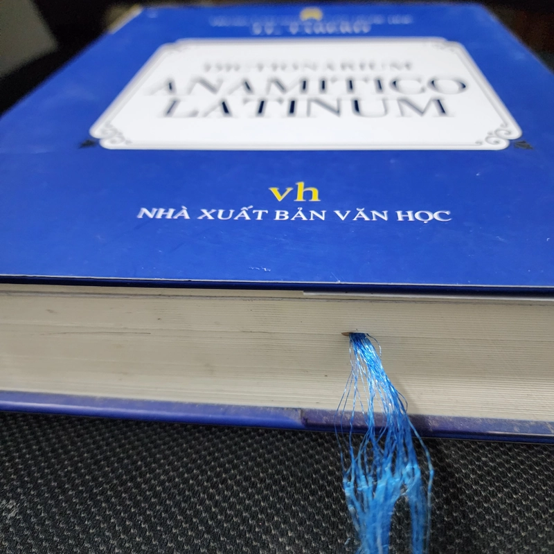 DICTIONARIUM ANAMITICO LATINUM | J.L.Taberd 500141