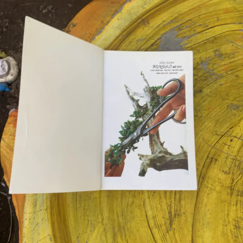 CẨM NANG BONSAI BỎ TÚI - DAVID PRESCOTT & COLIN LEWIS 759679