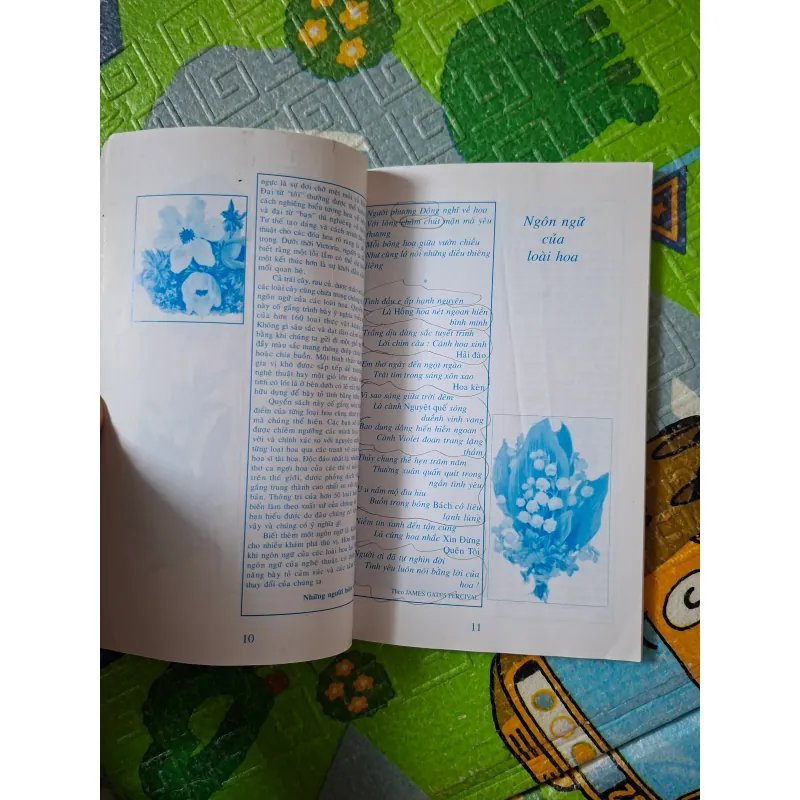 Ngôn Ngữ Các Loài Hoa 1025637