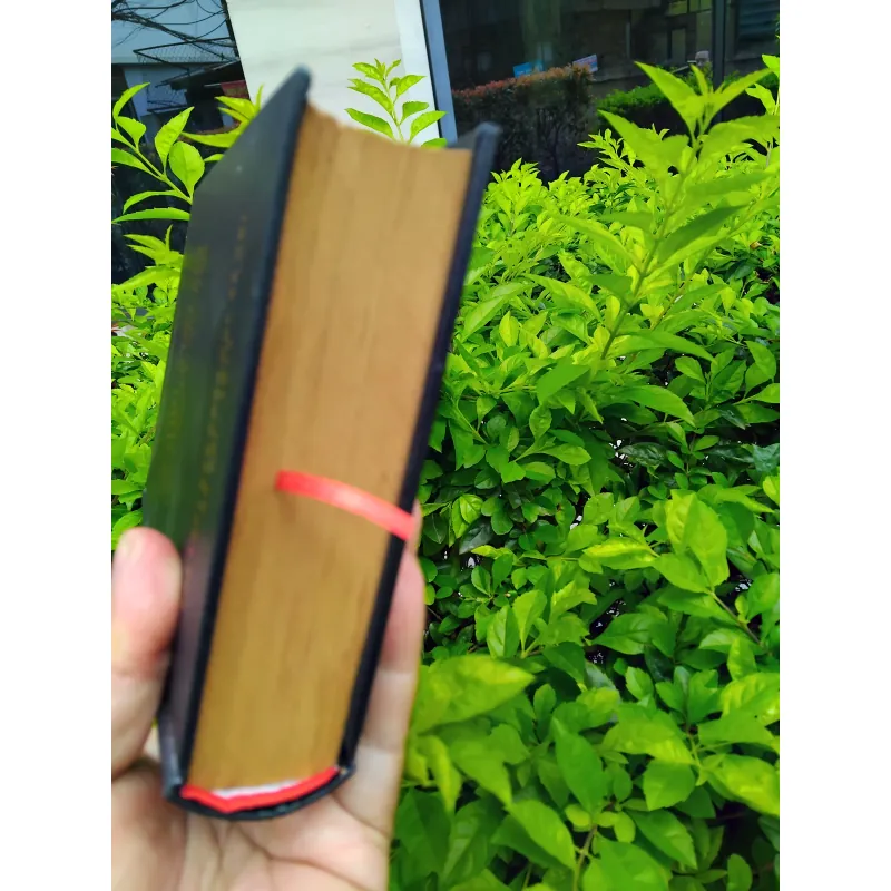 Sự phát triển của tư tưởng Việt Nam từ thế kỷ XIX đến cách mạng tháng Tám  960455