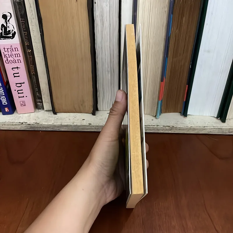 II Sách Phật Giáo: Thiền Thực Hành - Chogyam Trungpa - 2012 573373