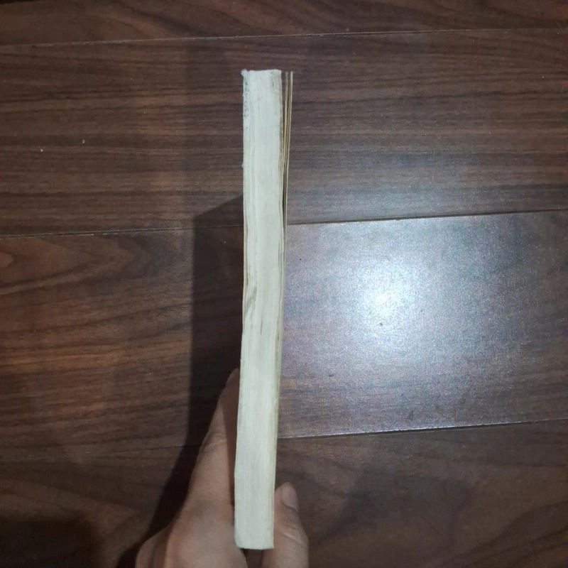 Âm thanh báo hận 526327