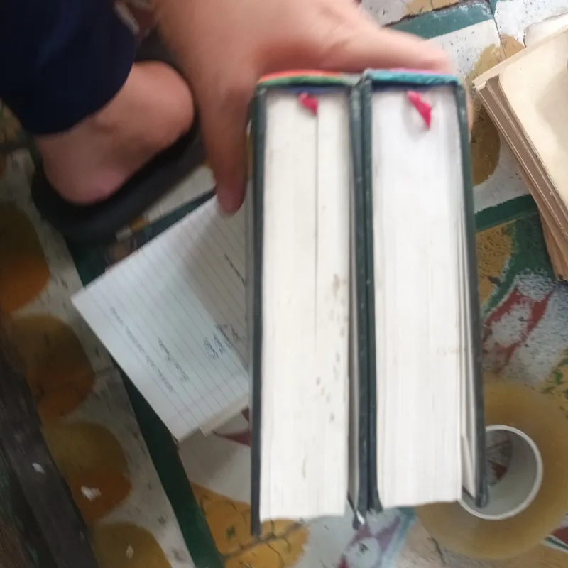 Anh Hùng Đông A Dựng Cờ Bình Mông - Yên Tử Cư Sĩ Trần Đại Sỹ 1027925