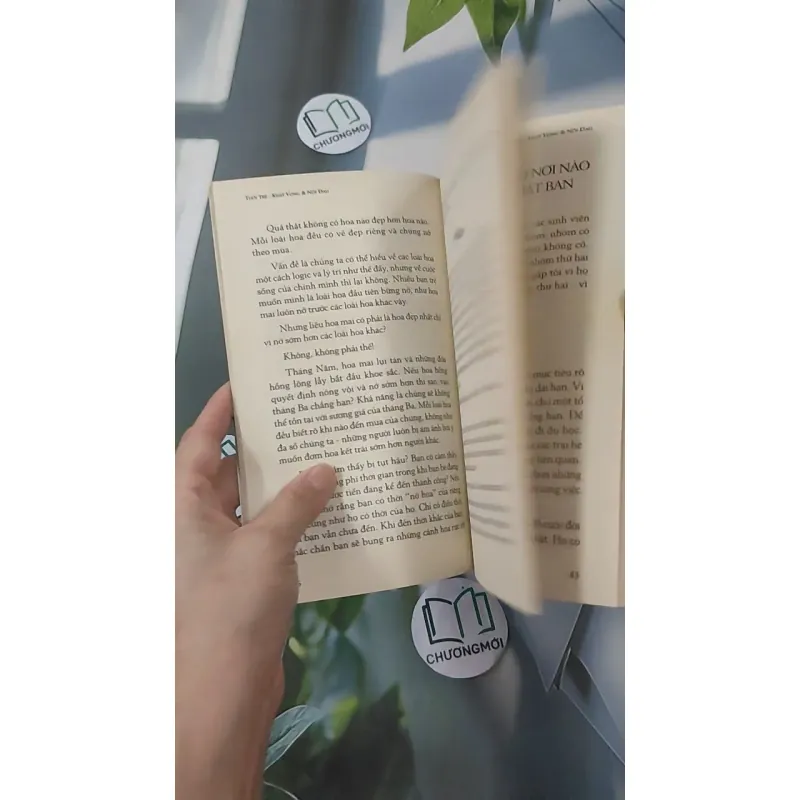 Tuổi Trẻ Khát Vọng Và Nỗi Đau - Rando Kim 961257