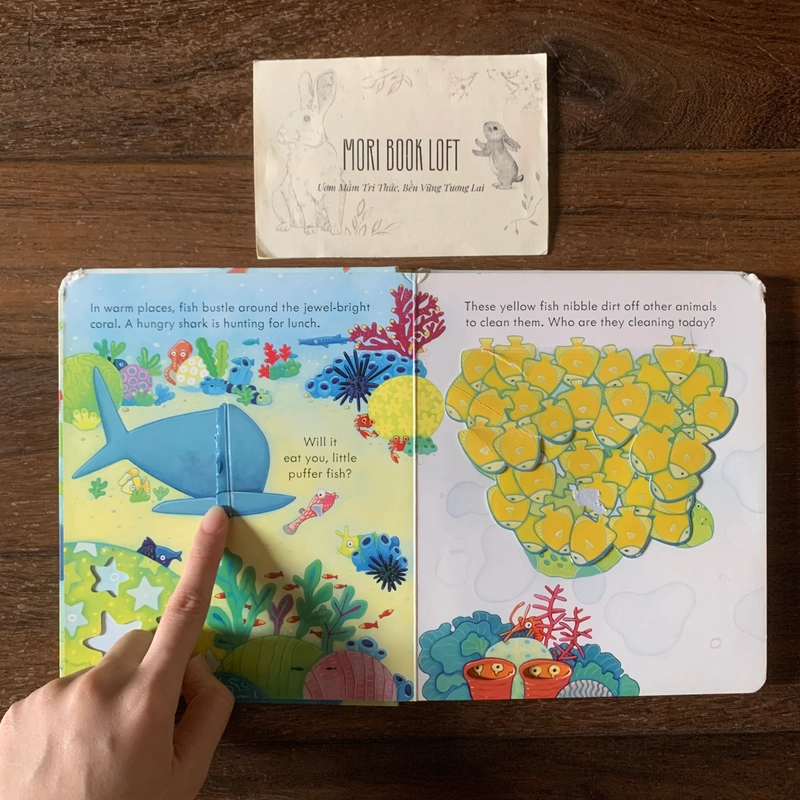 Sách ngoại văn Peep Inside The Sea - M.ấ.t Flap trang 1,3, miếng lật cũ, Used 540734
