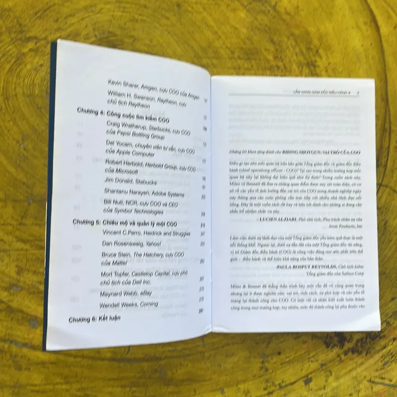 CẨM NANG GIÁM ĐỐC ĐIỀU HÀNH - nathan bennett & stephen a. miles 1002476