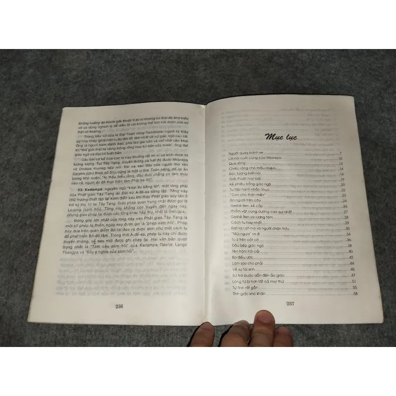 SƯ TỬ TUYẾT BỜM XANH 570802