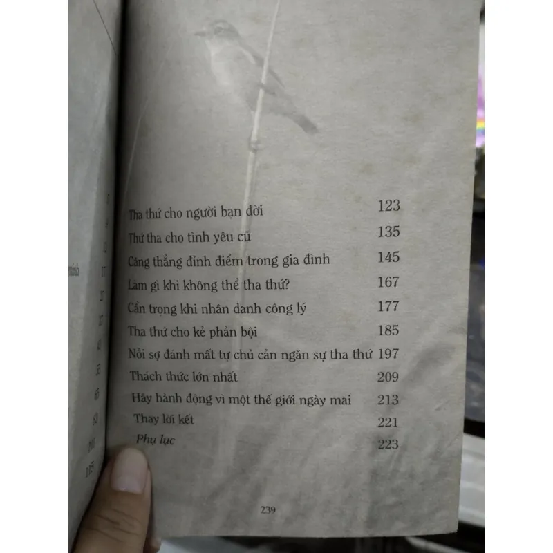 Dám Tha Thứ (phiên bản tiếng Việt của Dare to Forgive)  703791