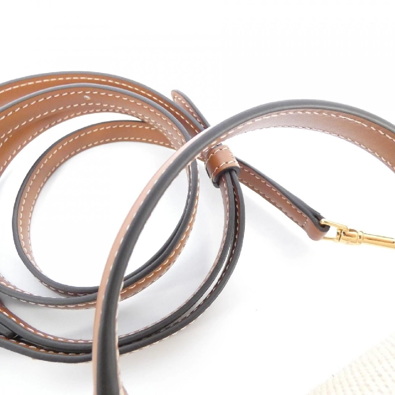 【Sản phẩm mới】Celine Mini Buzas Claire 10K502FA3 Túi 620182