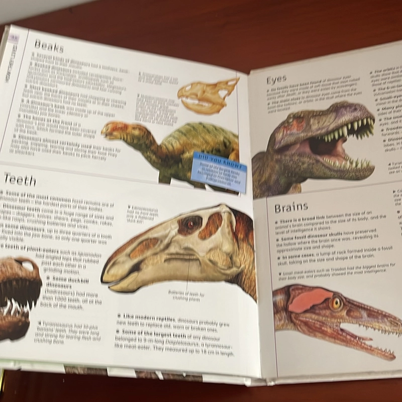 PICTURE BOOK The ultimate guide dinosaur 536097