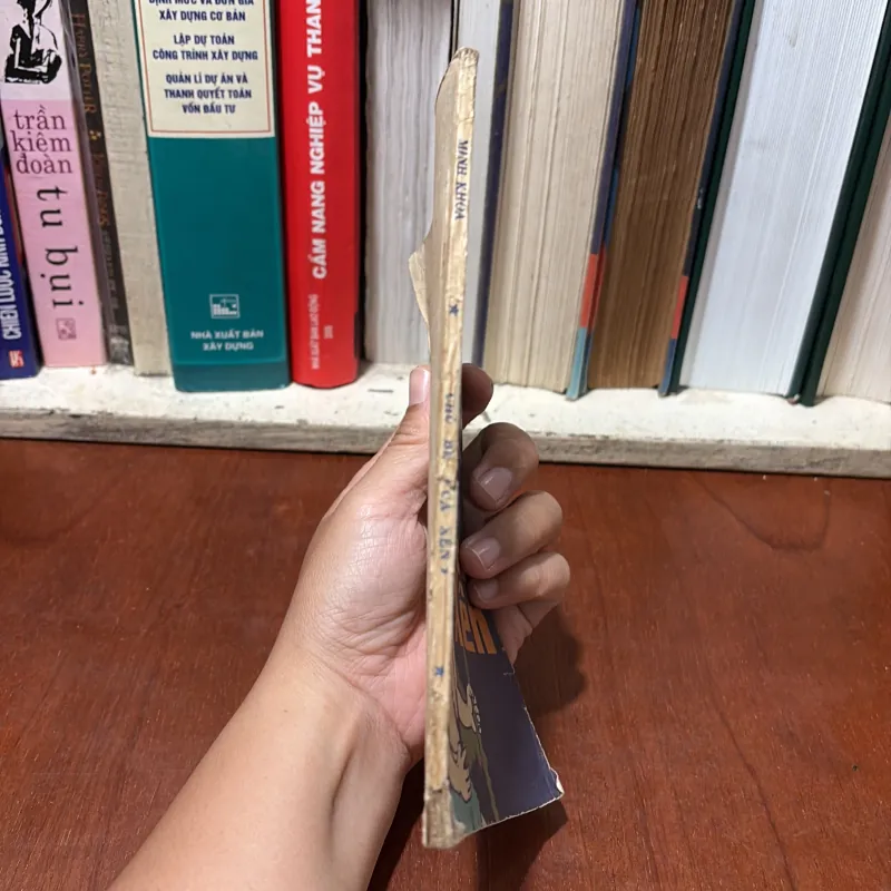 II Sách Xưa: Chú Bé Cả Xên - Minh Khoa - NXB Kim Đồng - 1985 751038