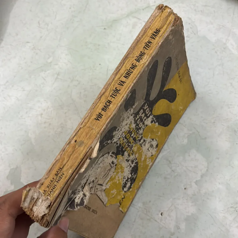 Vòi bạch tuộc và những đồng tiền vàng 1019249