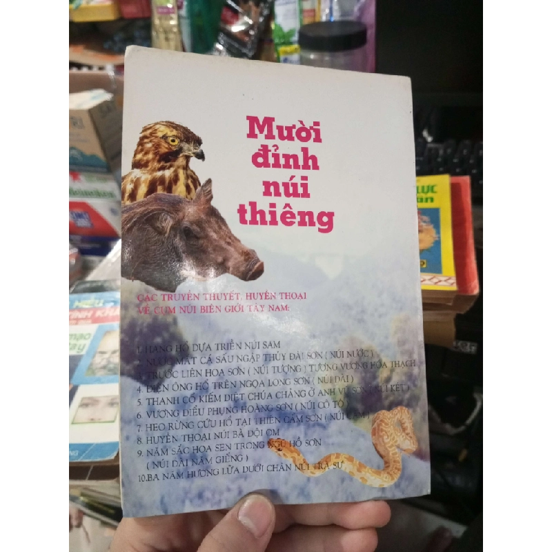 Mười Đỉnh Núi Thiêng - Liêm Châu 2002 mới 80% ố (Sách văn học) HCM1304 1011561