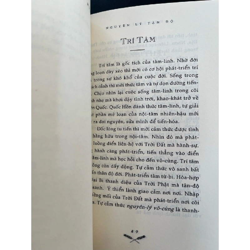 Nguyên lý tận độ - Lương Sĩ Hằng (sách in hải ngoại) 751354