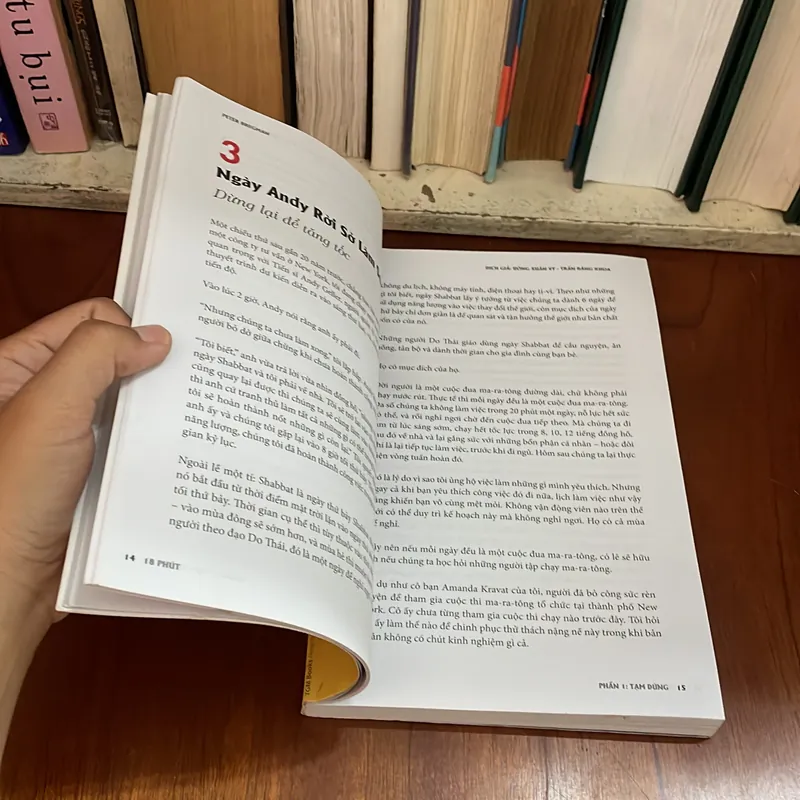 II Sách Kỹ Năng: 18 Phút - PETER BREGMAN - Uông Xuân Vy, Trần Đăng Khoa (Dịch) - 2014 576374