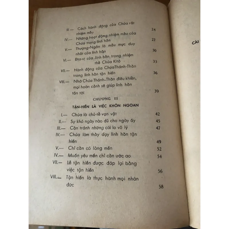 Đời Tận Hiến 1028154