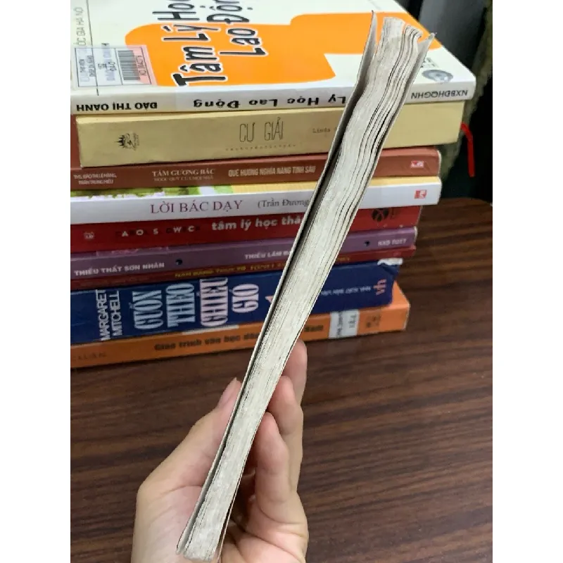 Trần Triều Hưng Đạo Đại Vương trong tâm thức dân tộc Việt – Hồ Đức Thọ 589454
