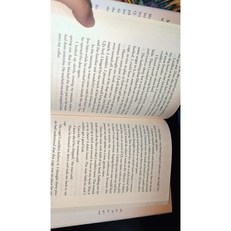 MOLLY'S STORY - W.BRUCE CAMERON 473024