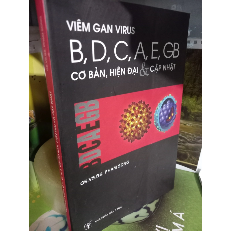 Viêm gan virus  542108
