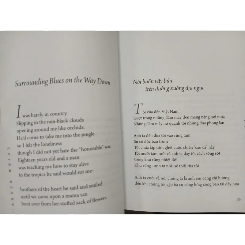 SAU MƯA THÔI NÃ ĐẠN - AFTER THE RAIN STOPPRED POUNDING 593337