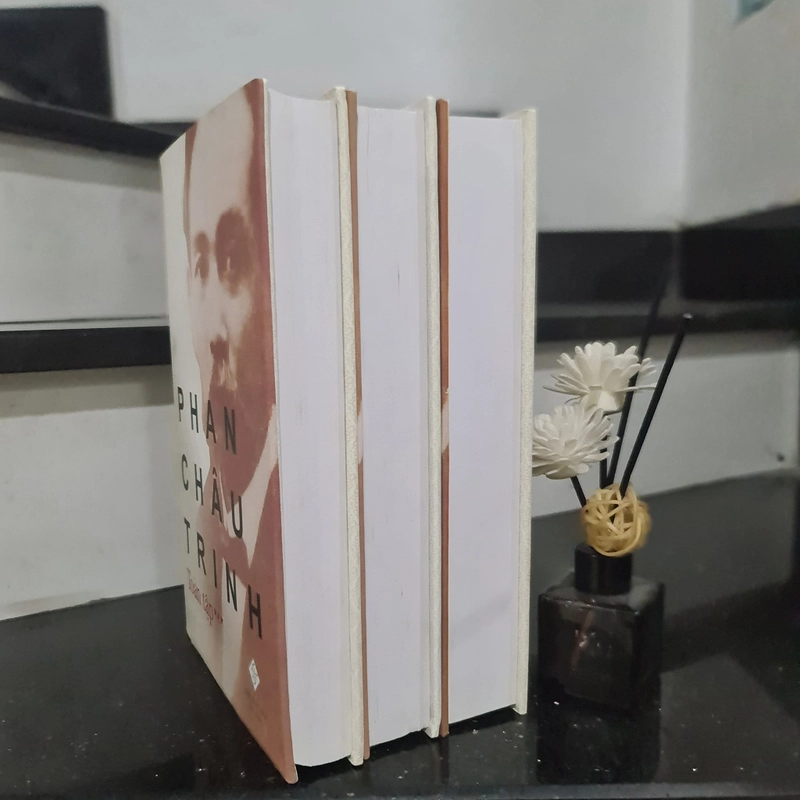 PHAN CHÂU TRINH TOÀN TẬP 336665