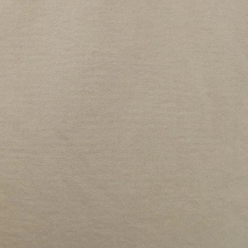 WILD THINGS ベスト 646045