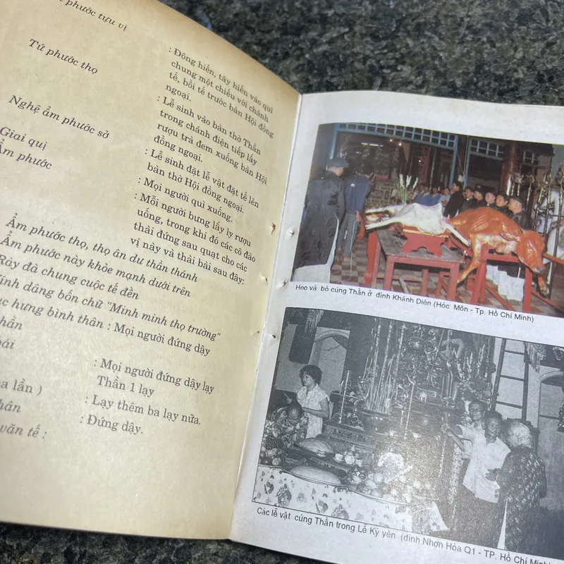 Đình nam bộ tín ngưỡng và nghi lễ Huỳnh Ngọc Trảng, Trương Ngọc Tường 706073