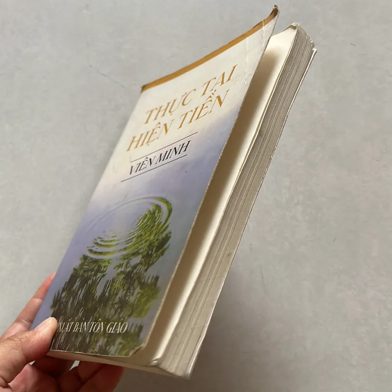 Thực tại hiện tiền - Viên Minh 625579