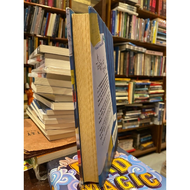 Absolutely Almost - Lisa Graff 795413