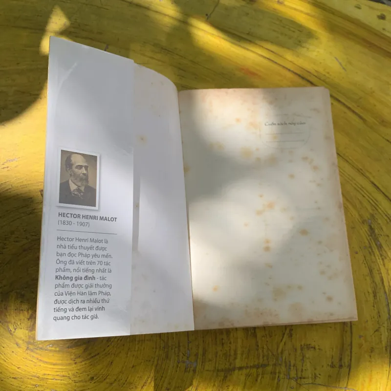 KHÔNG GIA ĐÌNH- HECTOR MALOT 747743