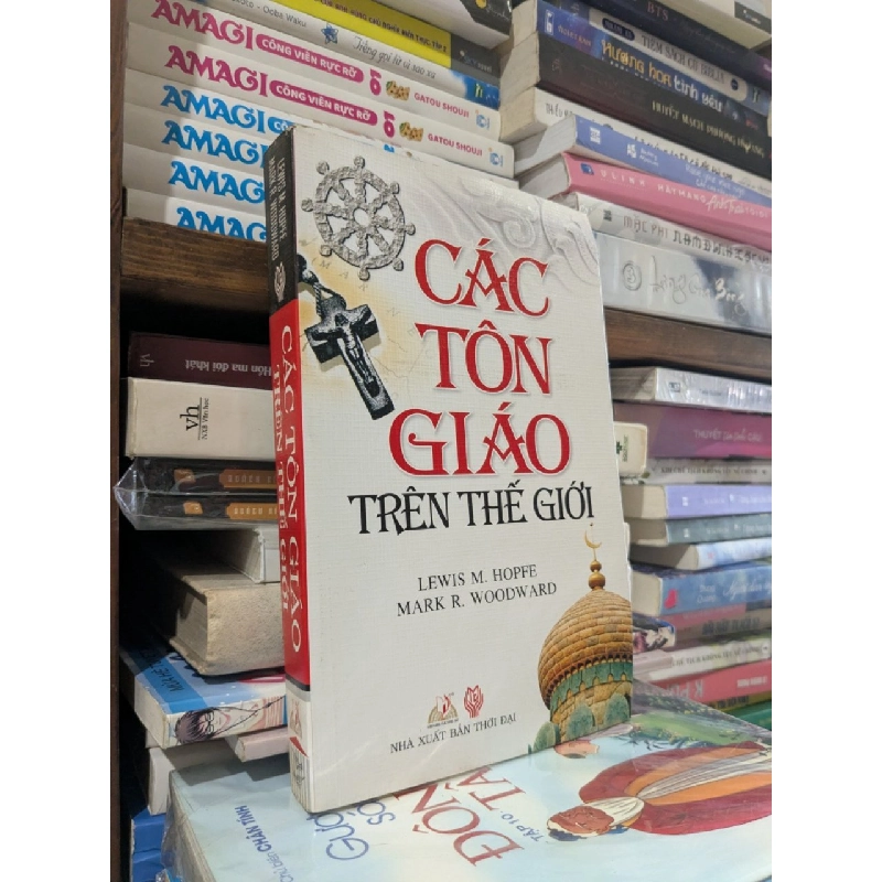 Các tôn giáo trên thế giới - Lewis M. Hopfe , Mark R. Woodward 540024