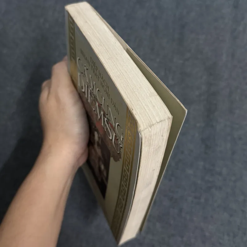 Cấm cung diễm sử - Diệp Hách Nhan Trát Nghi Dân 925446