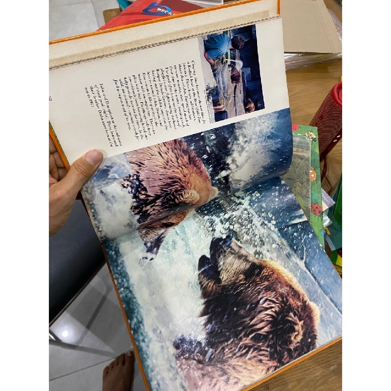 Zoo Without Cages 550899