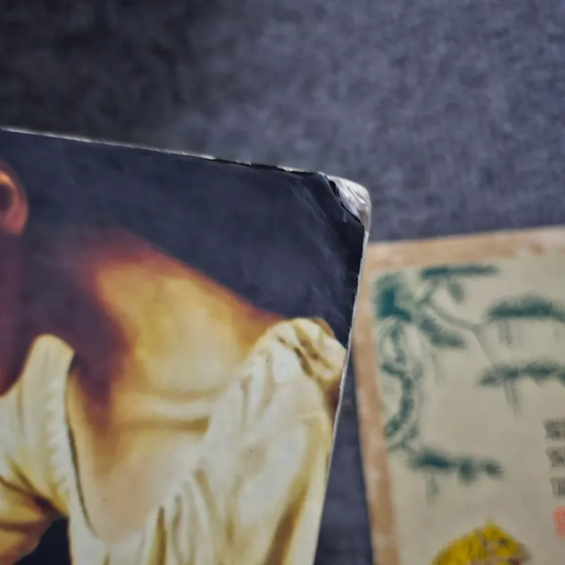 Trinh tiết - Akutagawa 732877