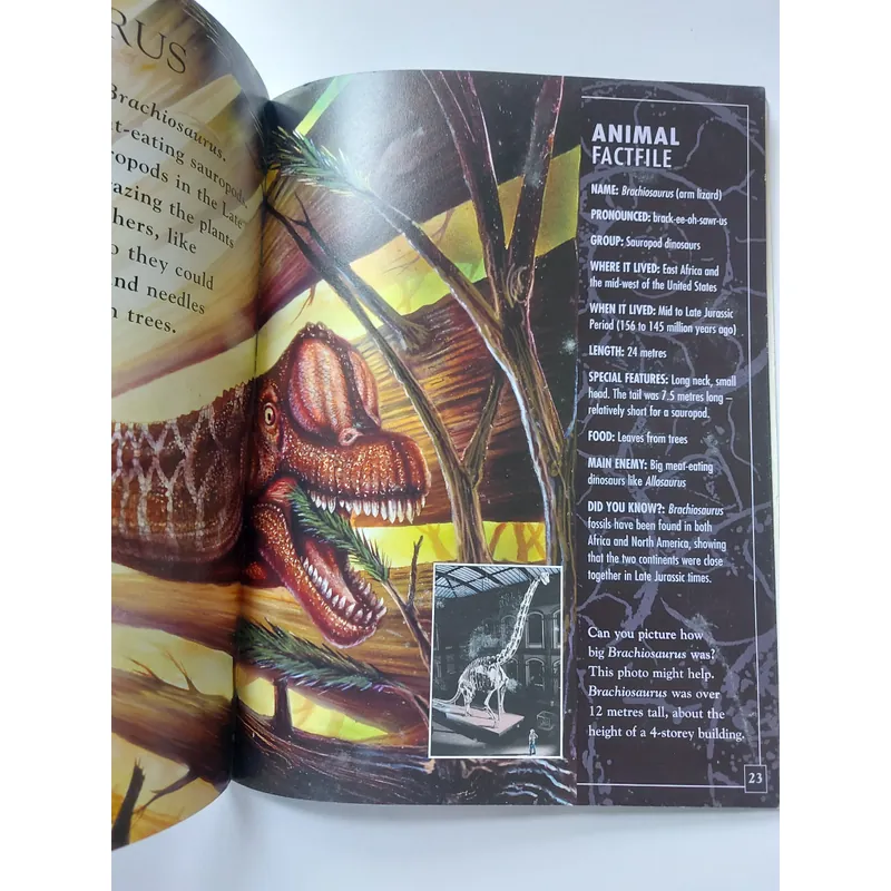 📚 PREHISTORIC WORLD – JURASSIC LIFE
🦖 712554